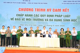 Đại diện các hộ kinh doanh, khai thác thủy sản ký cam kết chấp hành các quy định pháp luật về bảo vệ môi trường và đa dạng sinh học. (Ảnh: Mạnh Tú/TTXVN)