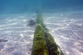 Ảnh minh họa: Công nhân lắp đặt đường cáp quang đất liền tại thành phố Espoo, Phần Lan. Ảnh: AP 