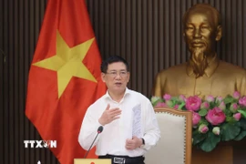 Phó Thủ tướng Hồ Đức Phớc phát biểu tại cuộc họp. (Ảnh: An Đăng/TTXVN)