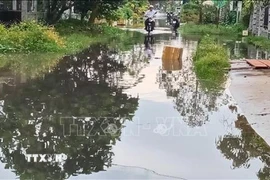 Đường Bùi Thị Cúc, thành phố Cần Thơ lần đầu tiên bị ngập. (Ảnh: Duy Khương/TTXVN)