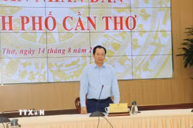 Ông Vương Quốc Nam, Phó Chủ tịch UBND TP. Cần Thơ, phát biểu tại cuộc họp cuộc họp với đại diện các doanh nghiệp nhà nước và doanh nghiệp có vốn nhà nước trên địa bàn nhằm nắm tình hình hoạt động và tháo gỡ khó khăn, vướng mắc cho các doanh nghiệp sau thực hiện sắp xếp đơn vị hành chính của thành phố. (Ảnh: Ngọc Thiện/TTXVN)