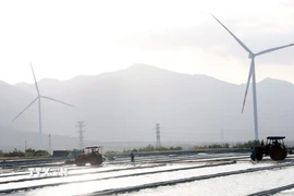 Các trụ điện gió được xây dựng trên cánh đồng muối ở xã Thuận Nam, tỉnh Khánh Hòa. (Ảnh: Xuân Triệu/TTXVN)