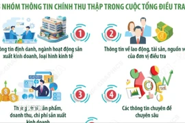 Kế hoạch Tổng điều tra kinh tế năm 2026 rút ngắn tiến độ 7 tháng