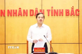 Chủ tịch Ủy ban Nhân dân tỉnh Bắc Ninh Phạm Hoàng Sơn phát biểu tại Hội nghị. (Ảnh: TTXVN phát)