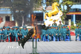 Chiến sỹ Bộ Chỉ huy Quân sự tỉnh Điện Biên thực hành nội dung huấn luyện vượt vòng lửa, hàng rào dây thép gai tại Lễ ra quân huấn luyện. (Ảnh: Xuân Tư/TTXVN)