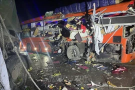 (Ảnh minh họa: TTXVN phát)