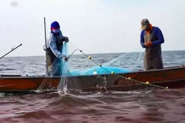 Ảnh minh họa: (Nguồn Smni News Channel)