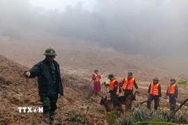 Triển khai lực lượng tìm kiếm nạn nhân mất tích trong vụ sạt lở ở xã biên giới Hùng Sơn với sự hỗ trợ của chó nghiệp vụ. (Ảnh: Bộ Tư lệnh Quân khu 5/TTXVN phát)