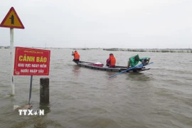 Người dân phường Kim Trà, thành phố Huế phải dùng thuyền để đi lại, do lũ sông Bồ dâng cao gây ngập lụt ngày 17/11. (Ảnh: Nguyên Lý/TTXVN)