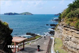 Đường mòn Suwonbong trên đảo Jeju. (Ảnh: Anh Nguyên/TTXVN)