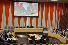 Toàn cảnh phiên thảo luận. (Ảnh: Thanh Tuấn/TTXVN)
