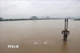 Mực nước sông Hồng đoạn chảy qua Thủ đô Hà Nội dâng cao chịu ảnh hưởng liên tiếp mưa lớn từ cơn bão số 10 và hoàn lưu vùng áp thấp suy yếu từ cơn bão số 11. (Ảnh: Vũ Quang Đán/TTXVN)