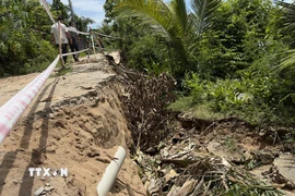 Sạt lở bờ Tây sông Hậu qua địa bàn tỉnh An Giang. (Ảnh: Thanh Sang/TTXVN)