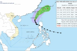 Hồi 10 giờ ngày 11/11, vị trí tâm bão ở vào khoảng 19,7 độ Vĩ Bắc; 118,3 độ Kinh Đông, trên vùng biển phía Đông khu vực Bắc Biển Đông. (Ảnh: Trung tâm Khí tượng Thủy văn Quốc gia)