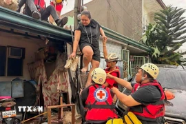 Lực lượng cứu hộ sơ tán người dân khỏi khu vực ngập lụt do bão Kalmaegi tại tỉnh Cebu, Philippines ngày 4/11/2025. (Ảnh: THX/TTXVN)
