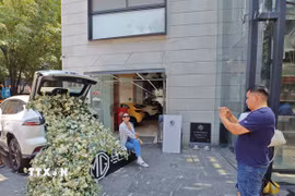 Du khách chụp ảnh tại Lễ hội Hoa và Vườn nghệ thuật FIJA ở thủ đô Mexico City nhân dịp các hoạt động văn hóa và du lịch được tổ chức trước thềm World Cup 2026. (Ảnh: Phương Lan/TTXVN)