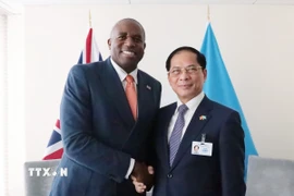 Phó Thủ tướng Bùi Thanh Sơn gặp Phó Thủ tướng, Bộ trưởng Bộ Tư pháp Liên hiệp Vương quốc Anh và Bắc Ireland David Lammy. (Ảnh: Thanh Tuấn/TTXVN)