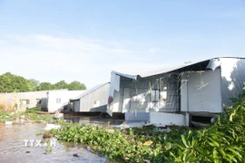 Hiện trường vụ sạt lở bờ sông Tiền, đoạn thuộc phường Cao Lãnh (tỉnh Đồng Tháp) ngày 20/9/2025. (Ảnh: TTXVN phát)