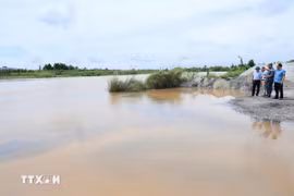 Lãnh đạo xã An Phú kiểm tra việc di chuyển phương tiện sản xuất, thanh thải các vật cản lũ ở bãi sông. (Ảnh: Mạnh Tú/TTXVN)