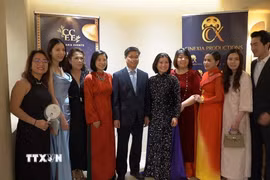 Giám đốc Trung tâm Văn hóa Việt Nam tại Pháp Đinh Ngọc Đức (thứ 5 từ trái qua) chụp ảnh lưu niệm cùng các thành viên ban tổ chức "Đêm hội điện ảnh-Nhịp cầu ánh sáng". (Ảnh: Đào Dũng/TTXVN)