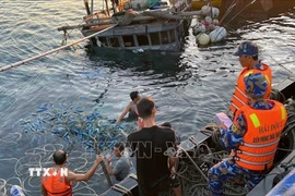 Ảnh minh hoạ. (Ảnh: TTXVN phát)