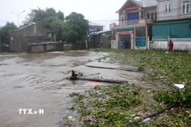 Khu vực khối 6 phường Cửa Lò nước đang dâng lên rất nhanh.( Ảnh: Văn Tý/TTXVN)