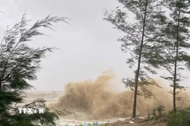 Sóng to, gió mạnh tại khu vực đê Hội Thống, xã Đan Hải. (Ảnh: Hữu Quyết/ TTXVN)