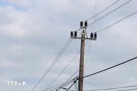 (Ảnh minh họa: Thanh Thủy/TTXVN)