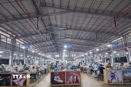 Hoạt động sản xuất tại công ty Trách nhiệm hữu hạn xã Thạch Lập, tỉnh Thanh Hóa. Ảnh: TTXVN phát