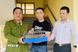 Tiếp nhận cá thể Tê tê nguy cấp, quý, hiếm từ người dân. (Ảnh: TTXVN phát)
