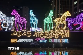 Cổng vào Lễ hội đèn lồng Seoul 2025