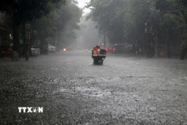 Mưa lớn khiến nhiều tuyến đường tại Nghệ An ngập nặng. (Ảnh: TTXVN phát)