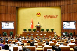 Các đại biểu làm việc tại nghị trường. (Ảnh: Doãn Tấn/TTXVN)