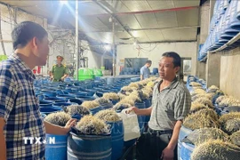 Số thực phẩm đông lạnh không có hóa đơn, chứng từ chứng minh nguồn gốc, xuất xứ bị lực lượng chức năng tỉnh Ninh Bình thu giữ tháng 5/2025. (Ảnh: Hải Yến/TTXVN)