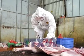 Tích cực giám sát, kiểm soát an toàn thực phẩm cuối năm