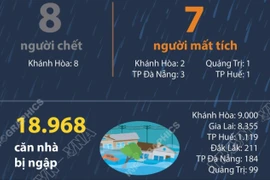 Thiệt hại do mưa lớn, lũ quét, sạt lở đất - tính đến sáng 19/11/2025