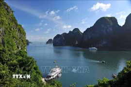 Di sản thiên nhiên thế giới Vịnh Hạ Long mang những giá trị đặc biệt, thắng cảnh thiên nhiên có một không hai trên thế giới. (Ảnh: Minh Đức/TTXVN)