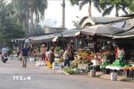 Hàng hóa bày kín vỉa hè, thậm chí tràn xuống lòng đường tại ngõ 101 phố Chu Huy Mân. (Ảnh: Thành Phương/TTXVN)