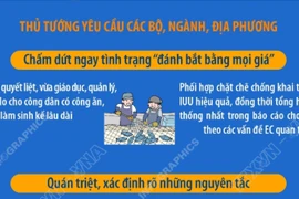 Người đứng đầu bộ, ngành, địa phương chịu trách nhiệm nếu để tàu cá vi phạm IUU 