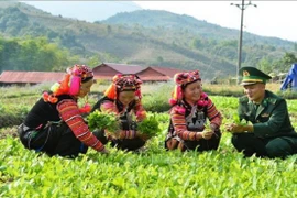Giúp đồng bào dân tộc thiểu số phát triển kinh tế, xóa đói, giảm nghèo. (Ảnh: TTXVN phát)