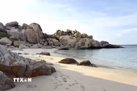 Vẻ đẹp êm đềm làm say lòng du khách của Bãi Tiên trên đảo Hòn Cau với những khối đá nguyên thủy bao quanh cùng làn nước biển xanh biếc. (Ảnh: Nguyễn Thanh/TTXVN)