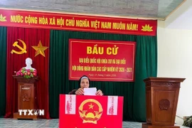 Cử tri cao tuổi xã Tân Minh tích cực tham gia đi bỏ phiếu. (Ảnh: TTXVN phát)