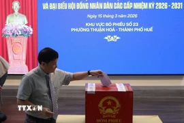 Giáo sư, Tiến sỹ Phạm Như Hiệp, Giám đốc Bệnh viện Trung ương Huế tham gia bỏ phiếu. (Ảnh: Mai Trang/TTXVN)