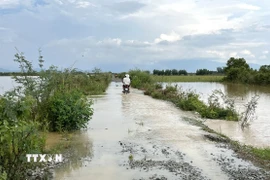 Nước lũ về ngập tràn các tuyến đường nội đồng khu vực xã Nam Thành. (Ảnh: Hồng Hiếu/TTXVN)