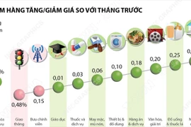 Chỉ số giá tiêu dùng tháng 7 tăng 0,11% 