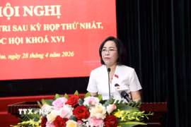 Phó Chủ tịch Quốc hội Nguyễn Thị Thanh phát biểu tổng kết hội nghị. (Ảnh: Đại Nghĩa/TTXVN)