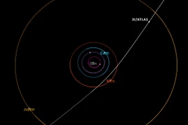 Ảnh minh họa. (Ảnh: AFP/TTXVN)