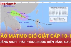 Bão Matmo ập vào Vịnh Bắc Bộ đêm nay, biển động dữ dội