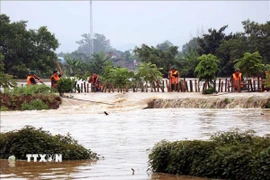 Đoạn đê bối sông Cầu bị vỡ tại khu vực Tổ 33, phường Phan Đình Phùng, ngày 1/10/2025. (Ảnh: Trần Trang/TTXVN)