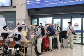 Lao động Việt Nam làm thủ tục nhập cảnh tại sân bay Incheon, Hàn Quốc. (Ảnh: Mạnh Hùng/TTXVN)